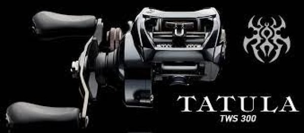 Daiwa TATULA TWS 300HL